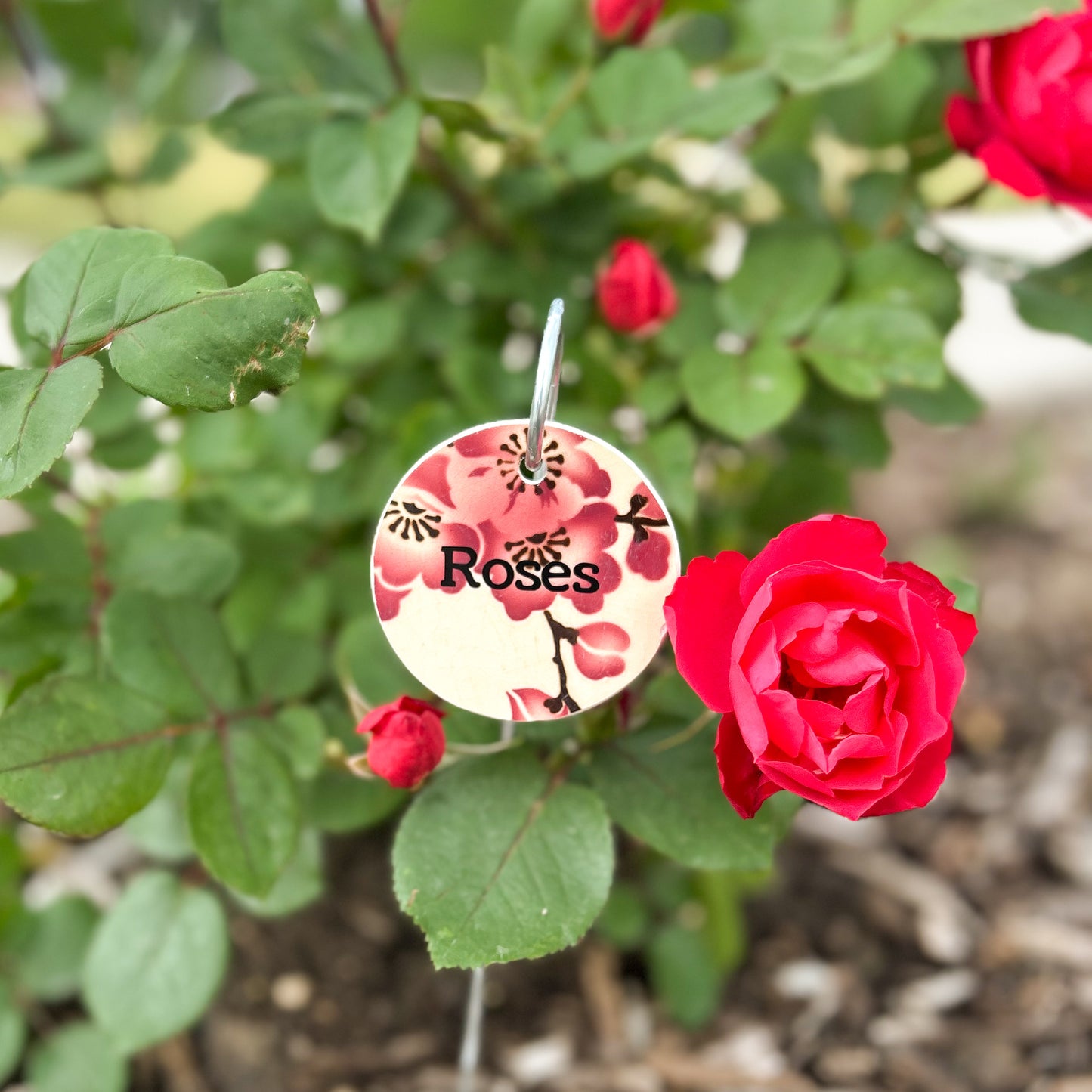 Petite Plant Label Made from Terre de Fer Remnants - Red